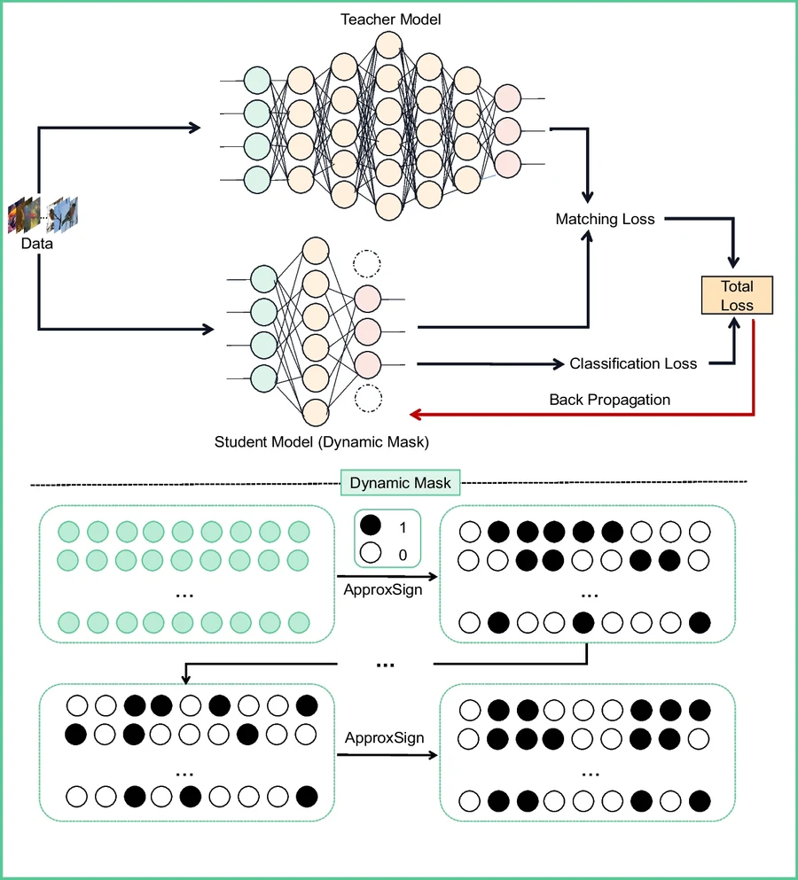 PDD teacher-student knowledge distillation pipeline and dynamic mask mechanism